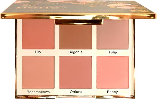 ARTISTA HOHO BLUSHER, 2-rasm
